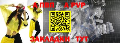 стаф Краснодар