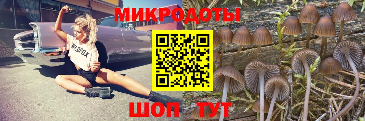 Галлюциногенные грибы Cubensis  Вход с VPN  Кимовск  Галлюциногенные грибы ЛСД 