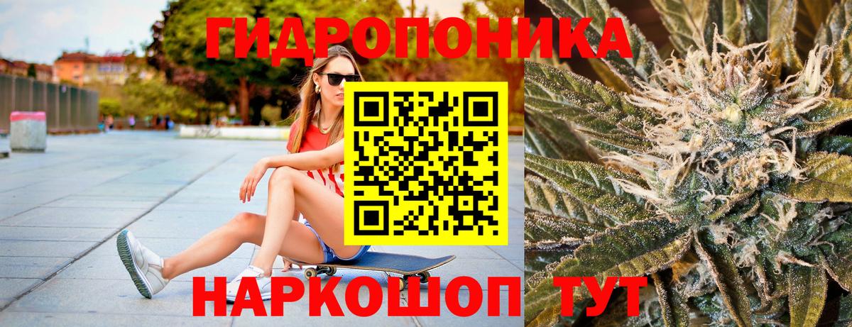 Марихуана LSD WEED  Бошки марихуана планчик  Шишки марихуана VHQ  Вход с VPN  Кимовск 